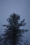 HolterBerg_046