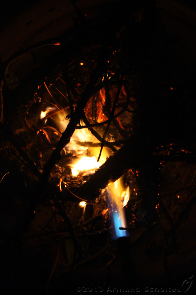 BBQ_Wilco_083.jpg
