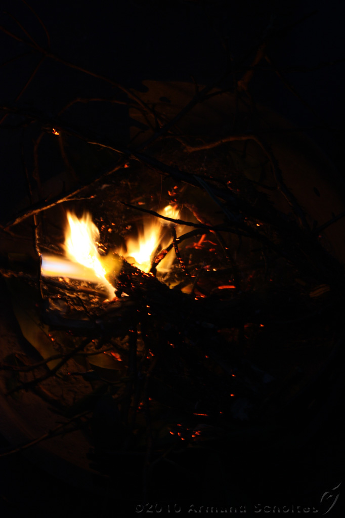 BBQ_Wilco_084.jpg