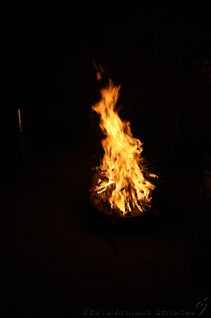 BBQ_Wilco_095.jpg