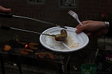 BBQ_Wilco_030