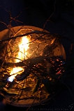 BBQ_Wilco_081