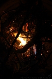 BBQ_Wilco_082