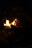 BBQ_Wilco_084