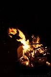 BBQ_Wilco_085