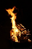 BBQ_Wilco_086