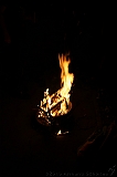 BBQ_Wilco_088