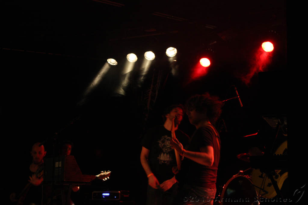 WITTER+Izah_021.jpg