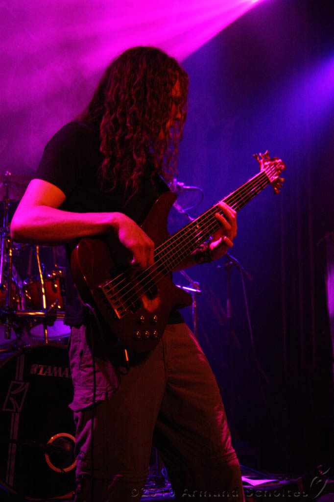 EVERGREY+FeedForward_018.jpg