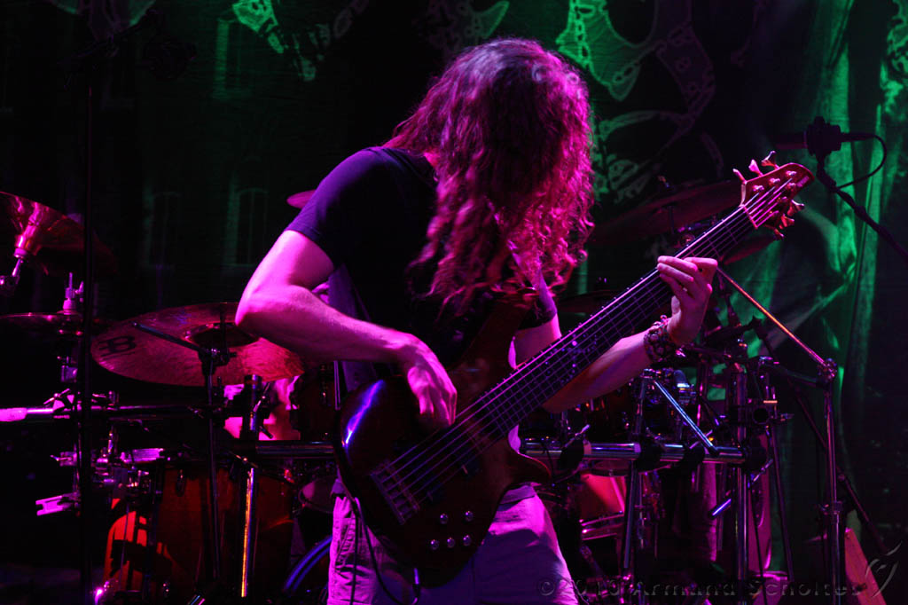 EVERGREY+FeedForward_042.jpg