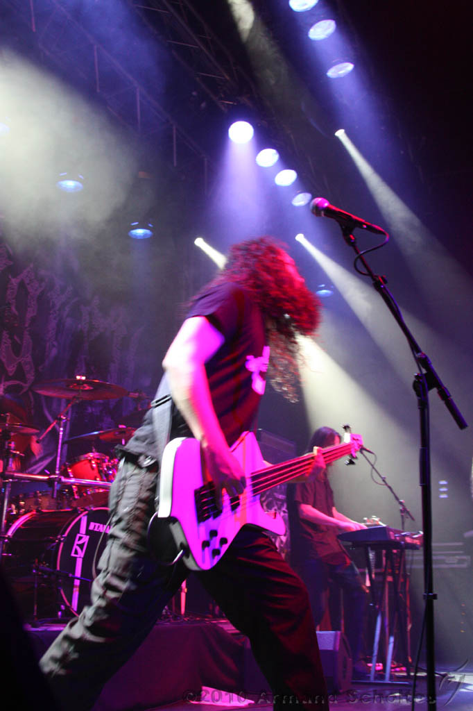 EVERGREY+FeedForward_066.jpg