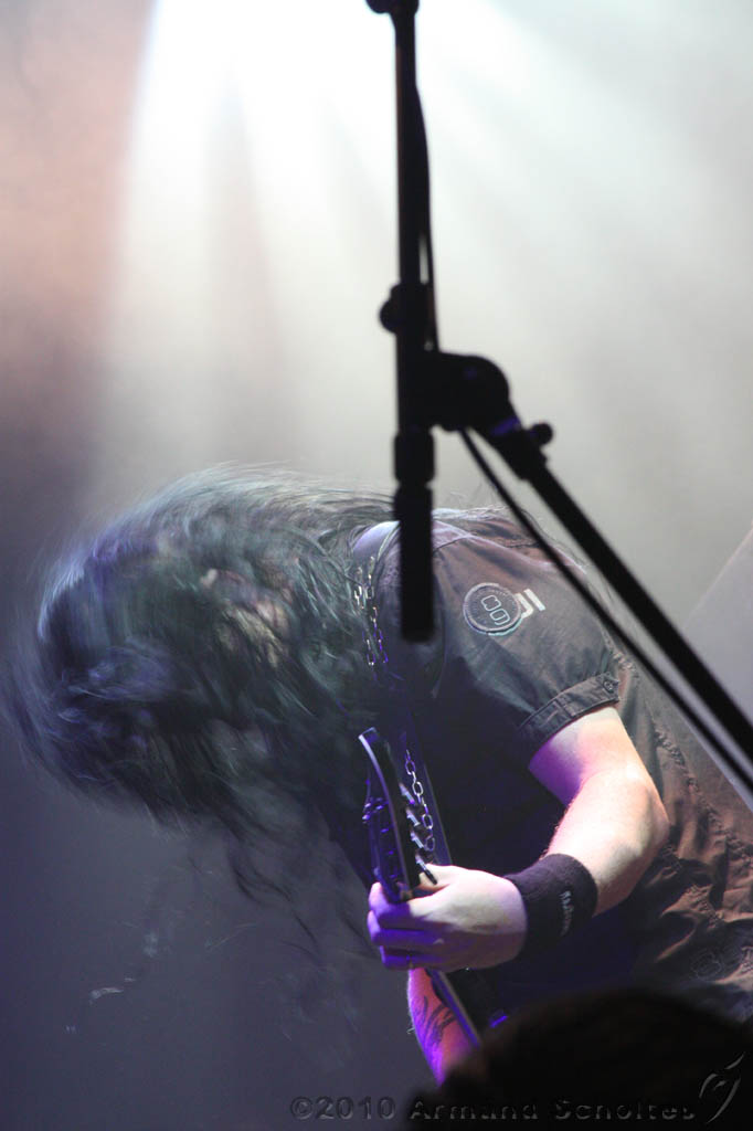 EVERGREY+FeedForward_102.jpg
