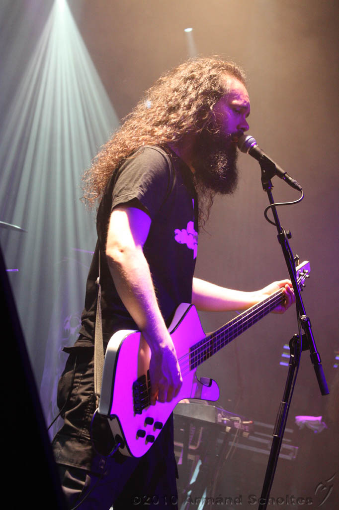 EVERGREY+FeedForward_123.jpg