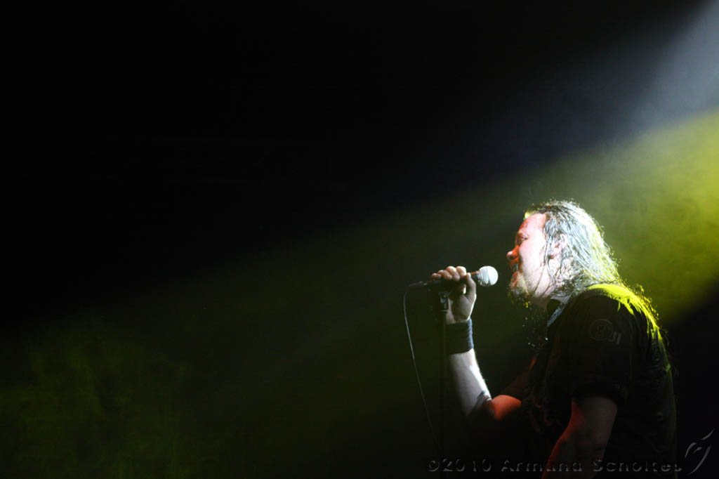 EVERGREY+FeedForward_130.jpg