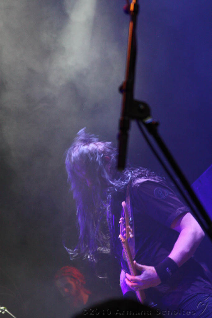 EVERGREY+FeedForward_140.jpg