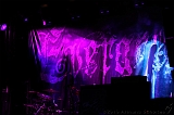 EVERGREY+FeedForward_001
