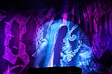 EVERGREY+FeedForward_002