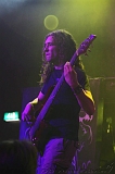 EVERGREY+FeedForward_004