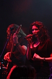 EVERGREY+FeedForward_007