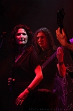 EVERGREY+FeedForward_009
