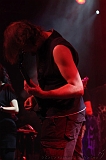 EVERGREY+FeedForward_010