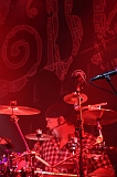 EVERGREY+FeedForward_011