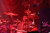 EVERGREY+FeedForward_012