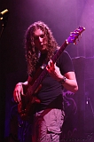 EVERGREY+FeedForward_021