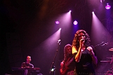 EVERGREY+FeedForward_022
