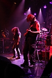 EVERGREY+FeedForward_023