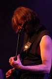 EVERGREY+FeedForward_024