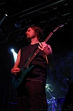 EVERGREY+FeedForward_031