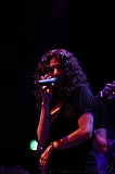 EVERGREY+FeedForward_035