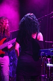 EVERGREY+FeedForward_037