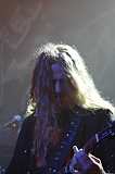 EVERGREY+FeedForward_045