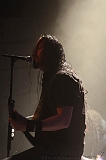 EVERGREY+FeedForward_046