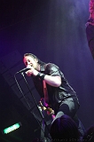 EVERGREY+FeedForward_058