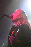 EVERGREY+FeedForward_060
