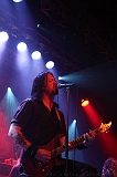 EVERGREY+FeedForward_071