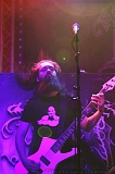 EVERGREY+FeedForward_073
