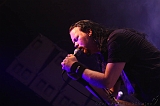 EVERGREY+FeedForward_080