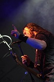 EVERGREY+FeedForward_086