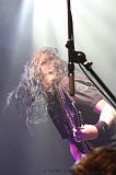 EVERGREY+FeedForward_100