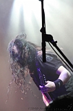 EVERGREY+FeedForward_101
