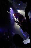 EVERGREY+FeedForward_103