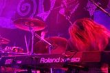 EVERGREY+FeedForward_107