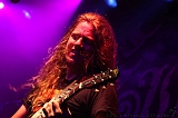 EVERGREY+FeedForward_110