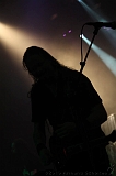 EVERGREY+FeedForward_112
