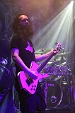 EVERGREY+FeedForward_114