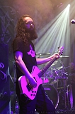 EVERGREY+FeedForward_115